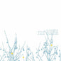 The Shins- Oh, Inverted World (20th Anniv Ed)